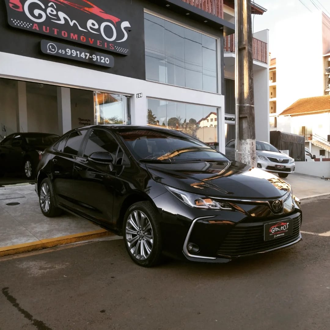 WhatsApp Image 2026-02-19 at 15.32.20