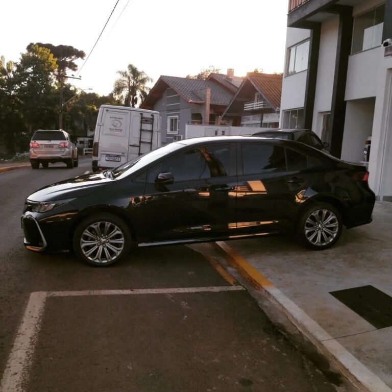 WhatsApp Image 2026-02-19 at 15.32.21 (1)