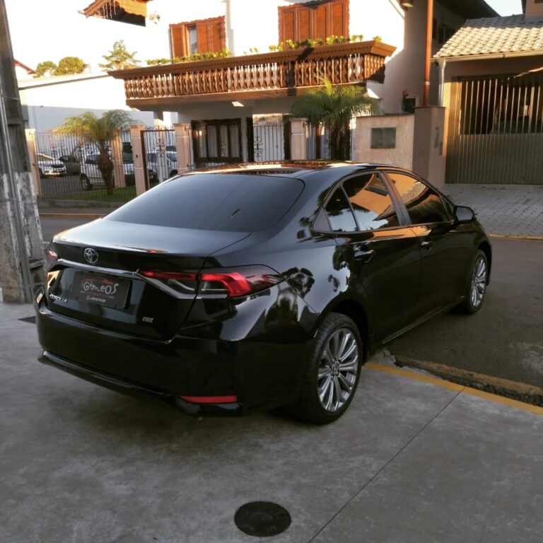 WhatsApp Image 2026-02-19 at 15.32.21