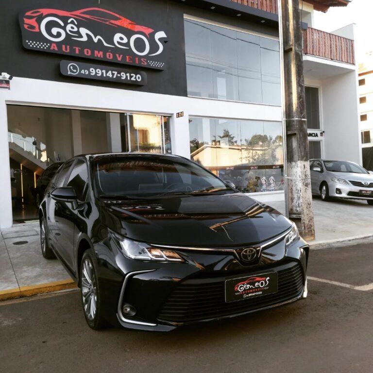 WhatsApp Image 2026-02-19 at 15.32.22 (1)