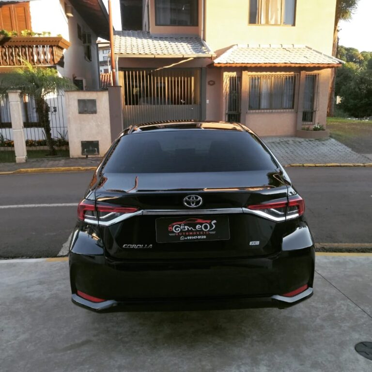 WhatsApp Image 2026-02-19 at 15.32.22 (2)