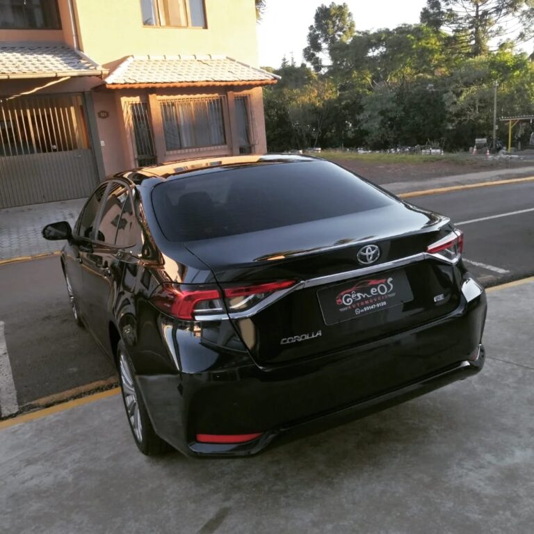 WhatsApp Image 2026-02-19 at 15.32.22 (3)