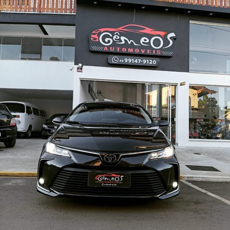 WhatsApp Image 2026-02-19 at 15.32.22