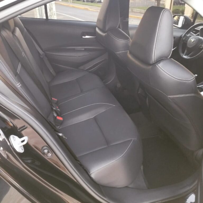 WhatsApp Image 2026-02-19 at 15.32.23 (2)