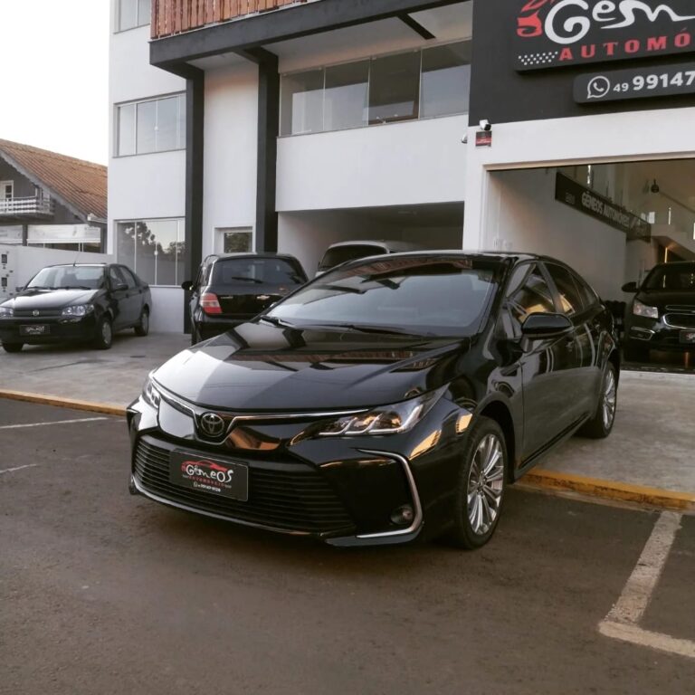 WhatsApp Image 2026-02-19 at 15.32.23 (4)