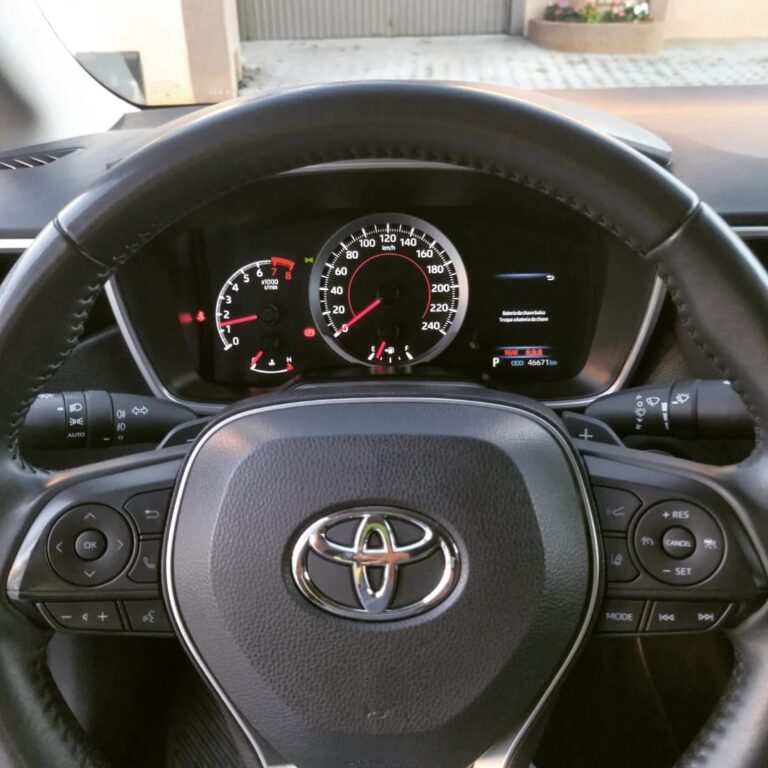 WhatsApp Image 2026-02-19 at 15.32.25