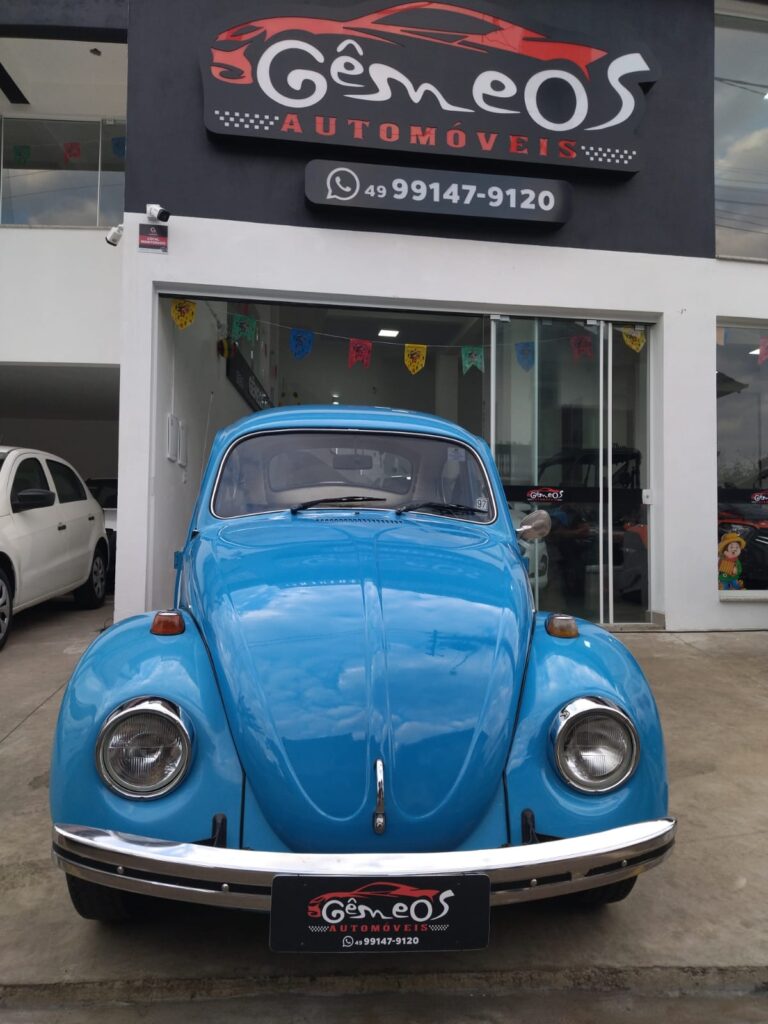 WhatsApp Image 2026-02-19 at 16.10.53