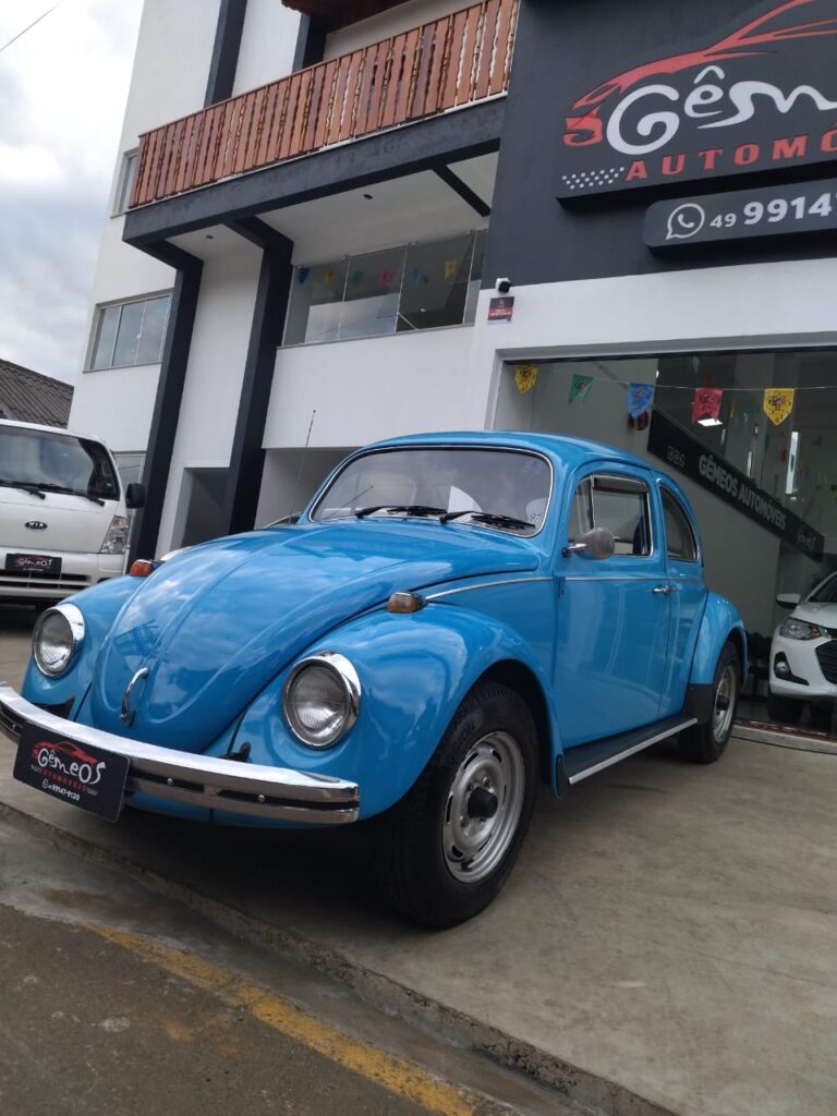 WhatsApp Image 2026-02-19 at 16.10.54 (1)