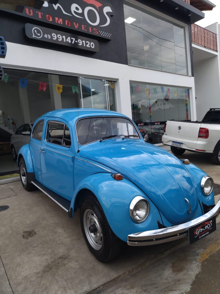 WhatsApp Image 2026-02-19 at 16.10.54