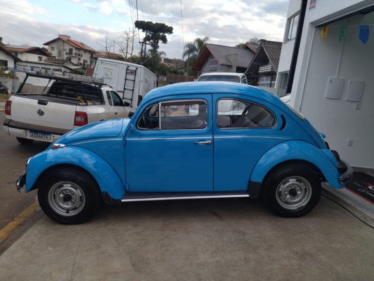 WhatsApp Image 2026-02-19 at 16.10.56