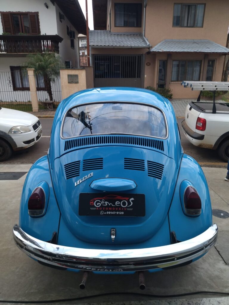 WhatsApp Image 2026-02-19 at 16.10.57