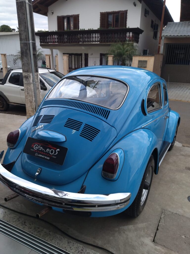 WhatsApp Image 2026-02-19 at 16.10.59 (1)