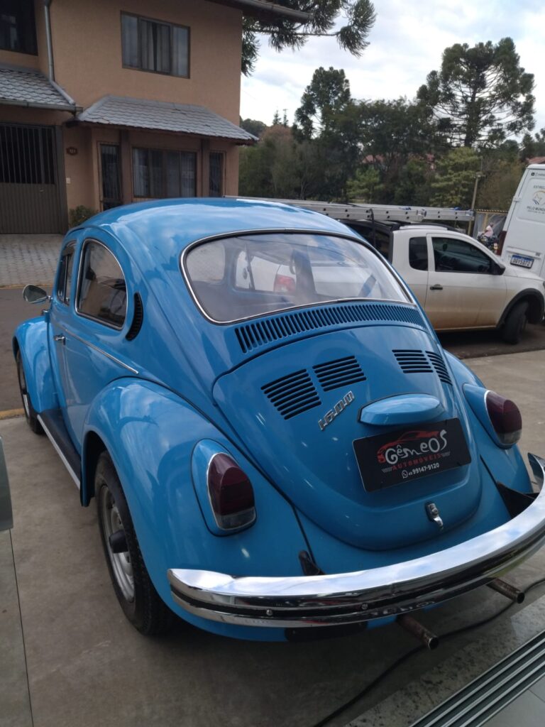 WhatsApp Image 2026-02-19 at 16.10.59