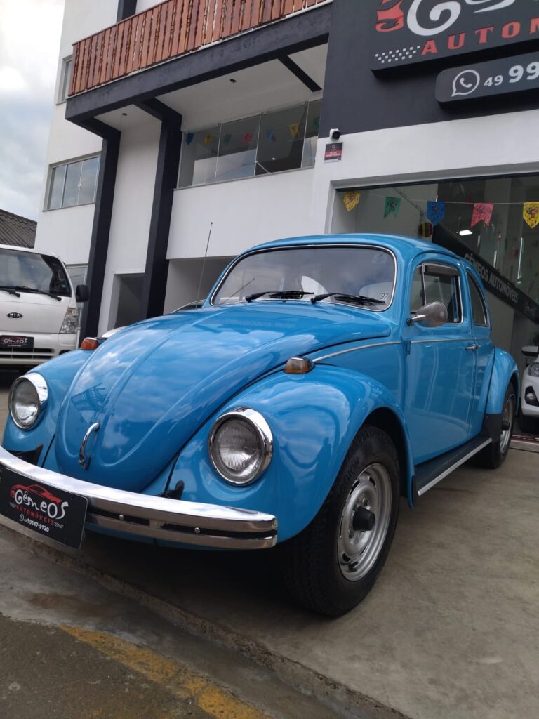 WhatsApp Image 2026-02-19 at 16.11.00 (1)