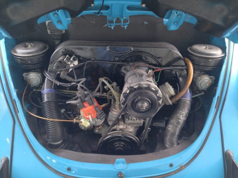 WhatsApp Image 2026-02-19 at 16.11.03 (2)